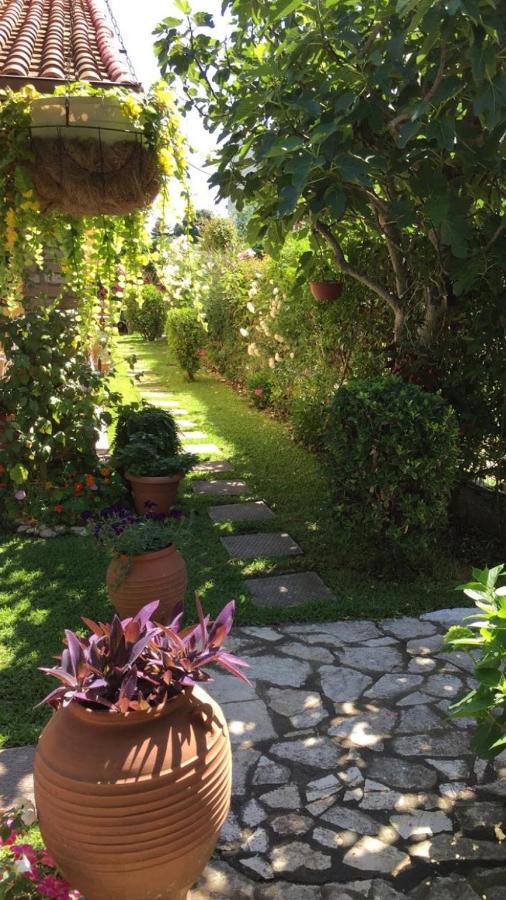 Villa Tina Country Beach Apartments Acharavi  Bagian luar foto