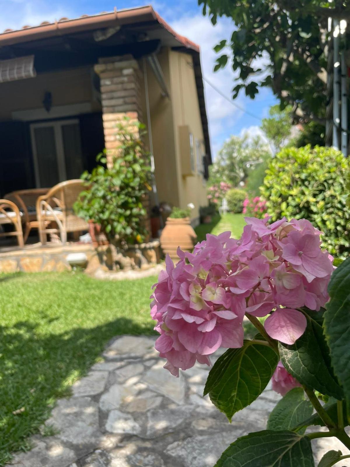 Villa Tina Country Beach Apartments Acharavi  Ruang foto