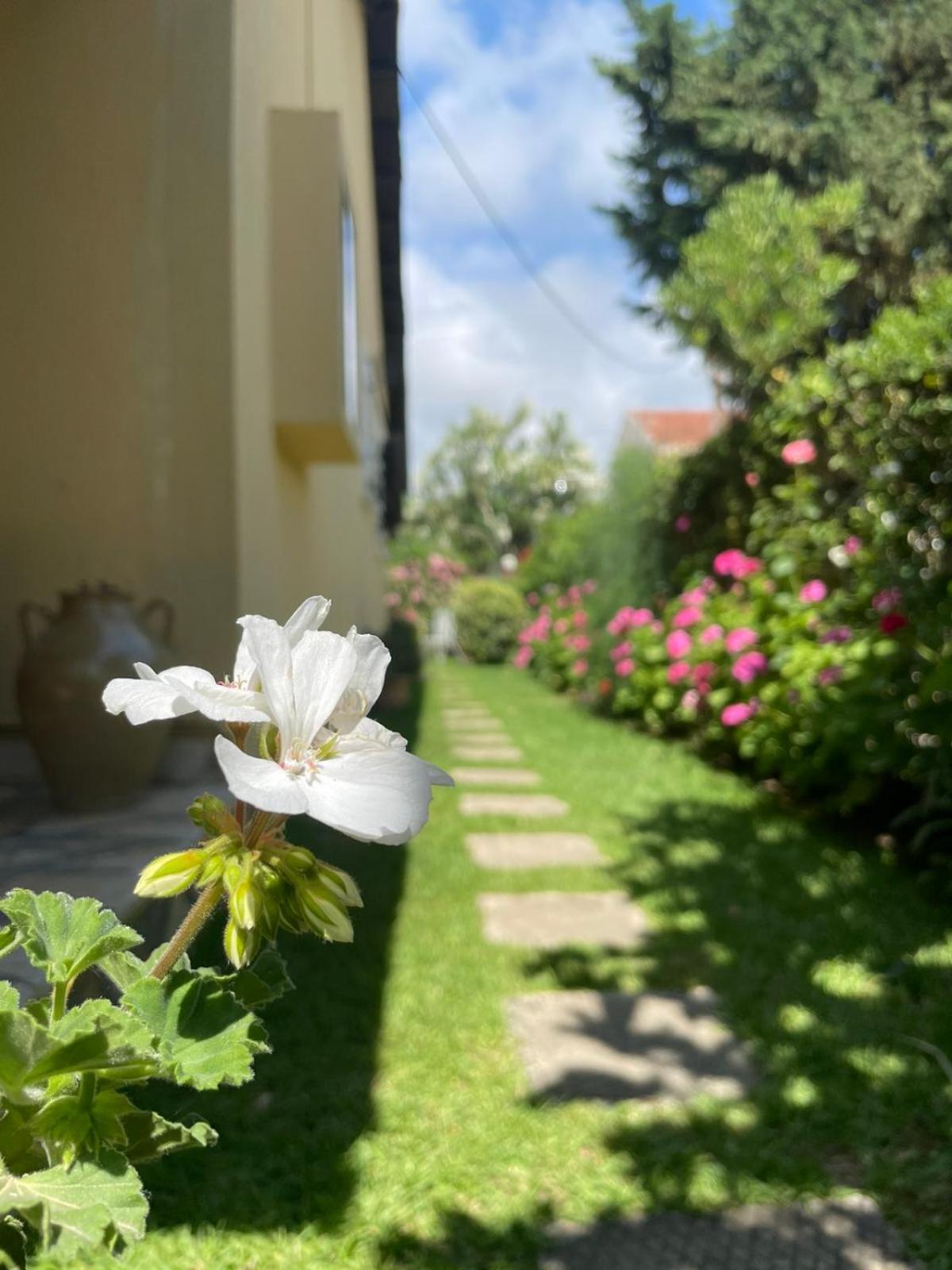 Villa Tina Country Beach Apartments Acharavi  Ruang foto