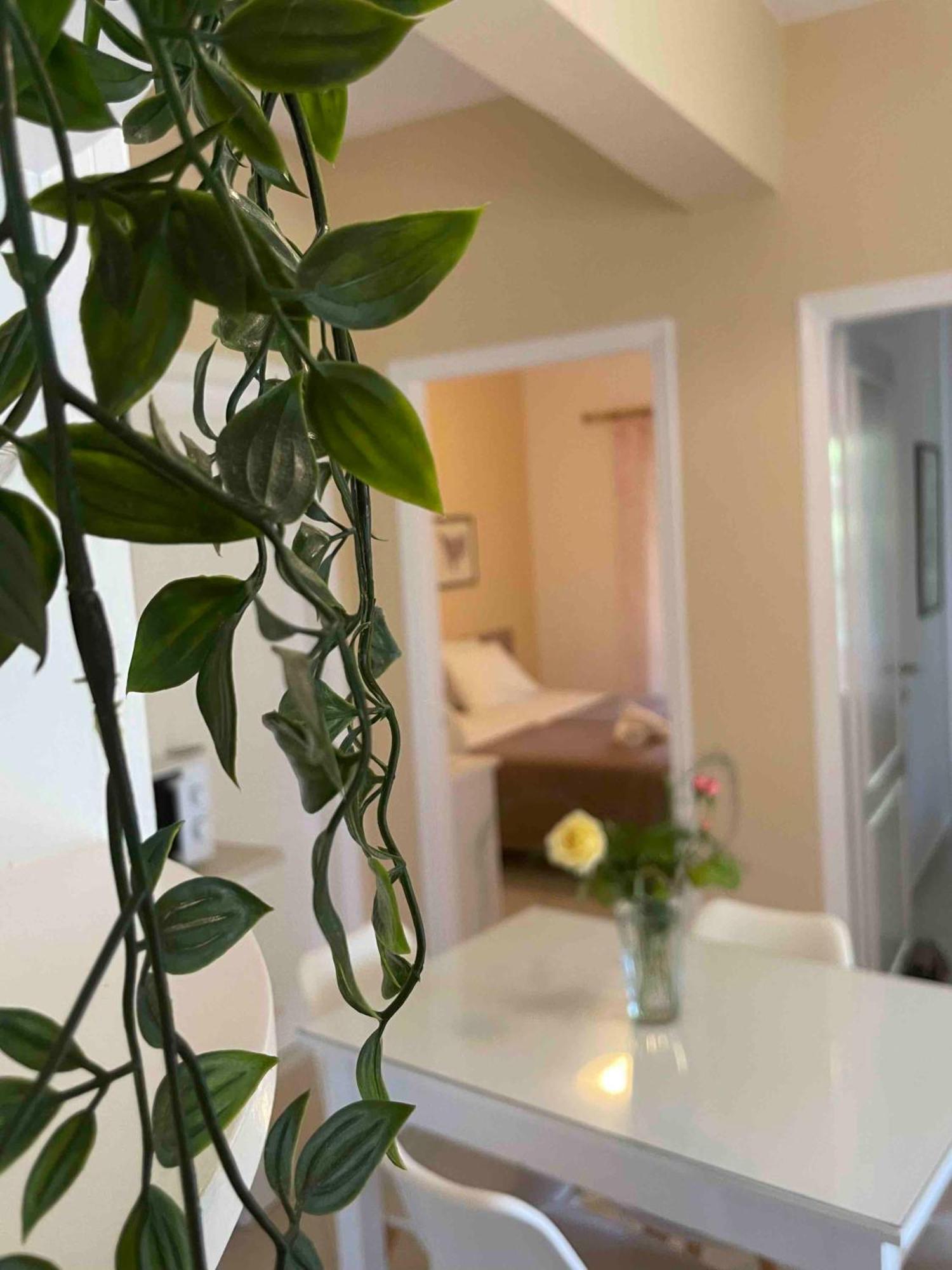 Villa Tina Country Beach Apartments Acharavi  Ruang foto